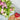 How to Choose an Affordable Valentine's Bouquet Without Sacrificing Quality 