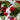 Elegant condolence wreath featuring red roses, white chrysanthemums, and fresh seasonal flowers, thoughtfully arranged to express sympathy, respect, and remembrance in Singapore.