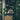 Affordable-Florists-in-Singapore-That-Don-t-Compromise-on-Style 