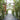 Floral archway and garden display inspired by Singapore Garden Festival 2026, showcasing design trends from a flower shop in Singapore.
