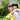 Mother and daughter smiling in a garden with yellow flowers, representing Mother’s Day flower gifting in Singapore and early flower orders.