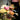 Inside-a-Flower-Shop-in-Singapore-What-Really-Happens-Behind-the-Petals 