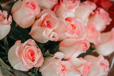 What's The Meaning Behind the Number of Roses in a Bouquet?