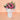 Pastel Whispers (MD5) Joaquim Florist & Gifts