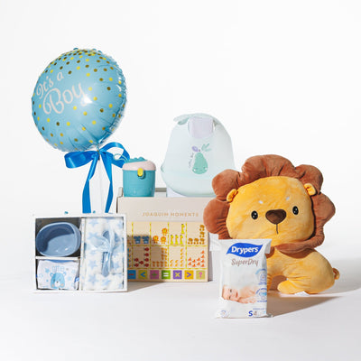 Motherhood Moments Baby Hamper (BG03)
