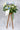 Graceful Send Off Condolence Flower Wreath (W46) JoaquimFlorists