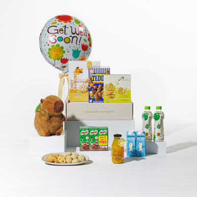 Healing Hugs Get Well Hamper (G05)