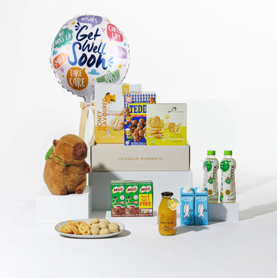 Healing Hugs Get Well Hamper (G05)