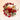 Golden Fortune (招财猫) Lucky Cat Arrangement (LCO23) JoaquimFlorists