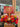 Malaysia Grand Opening Gift (MY03) Joaquim Florist & Gifts - MY