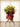 Malaysia Grand Opening Stand (MY04) Joaquim Florist & Gifts - MY