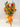 Fortune's Welcome Grand Opening Flowers (P52) JoaquimFlorists