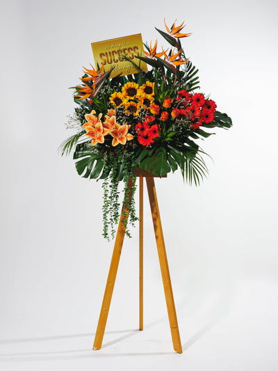 Rising Radiance Grand Opening Flowers (P19)