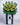 Sacred Memory Condolence Flower Wreath (W67) JoaquimFlorists