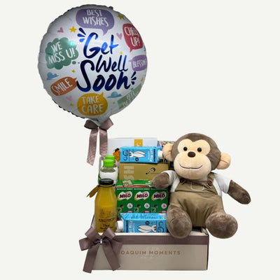 Healing Hugs Get Well Hamper (G05)