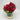 CREAM OF THE CROP (JTA10) Joaquim Florist & Gifts
