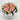 Blossom Time Floral Arrangement (JTA58) Joaquim Florist & Gifts