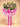Pastel Prosperity Grand Opening Flowers (P41) JoaquimFlorists