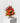 Threads of Thought Floral Arrangement (JSA21) Joaquim Florist & Gifts
